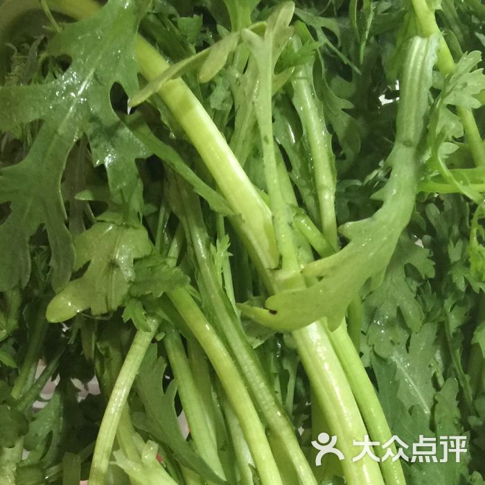 金川娃麻辣烫茼蒿图片 - 第64张