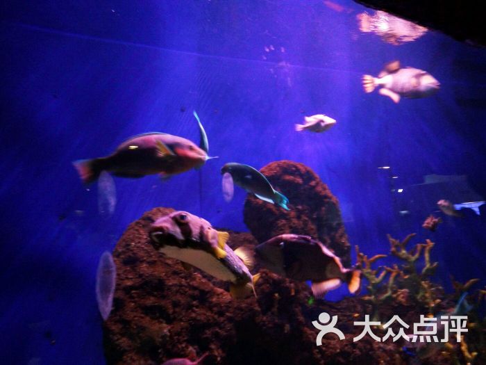 大武汉旅游卡-武汉景区旅游年卡-图片-武汉生活