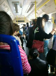 公交车(沪朱高速快线)的全部评价-上海-大众点