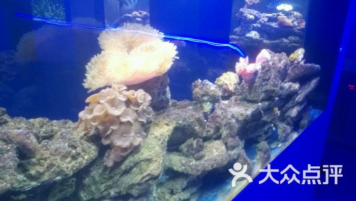 -清风梦幻1234的图片-大众点评网