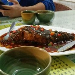 大土豆_2306的主页