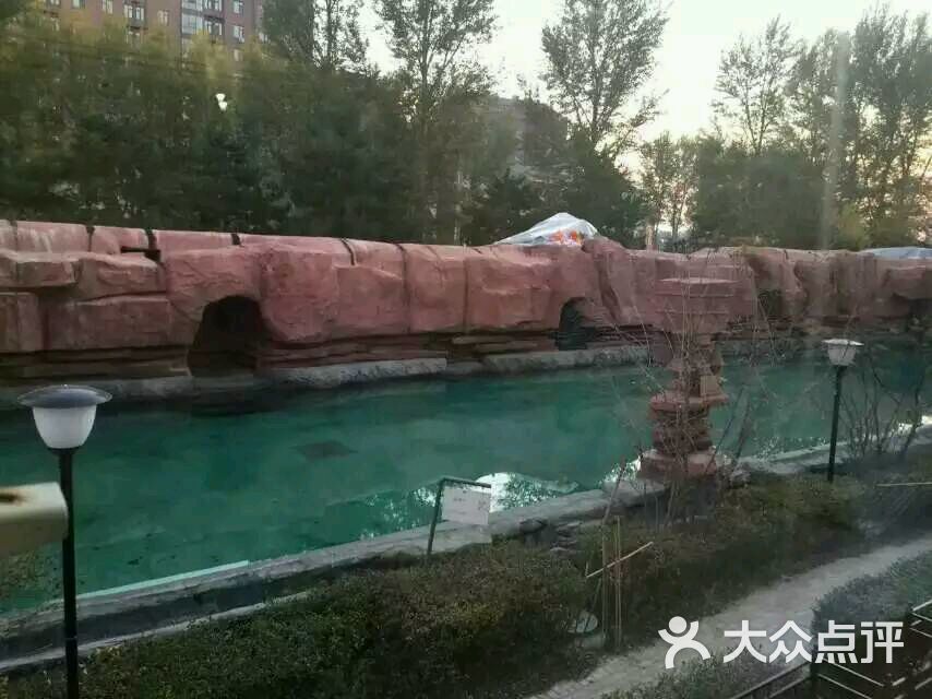 沈阳新民美国郡温泉度假别墅酒店图片 - 第6张