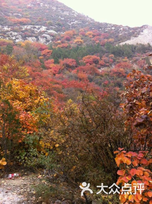 崛围山-图片-太原景点