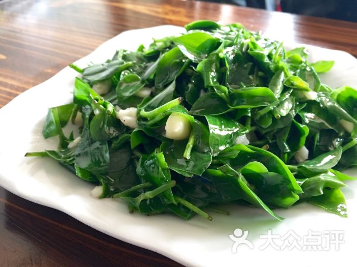 野生竹叶菜